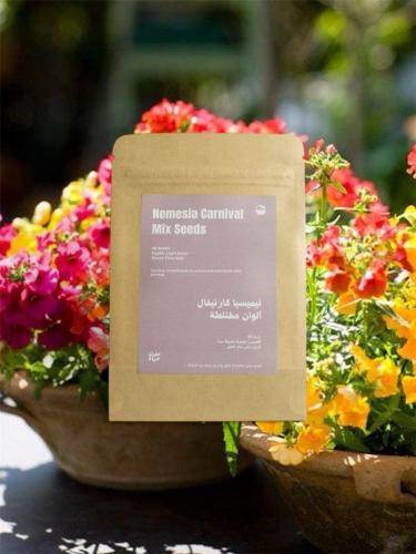 بذور نيميسيا كارنيفال | Nemesia Carnival Mix Seeds