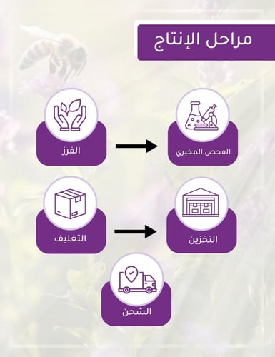 عسل المورينجا