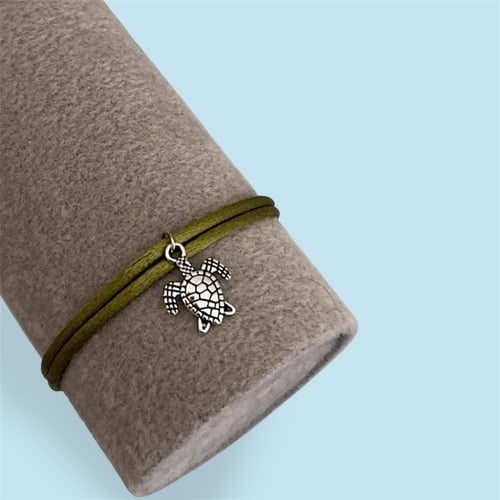 سوار سلحفاة