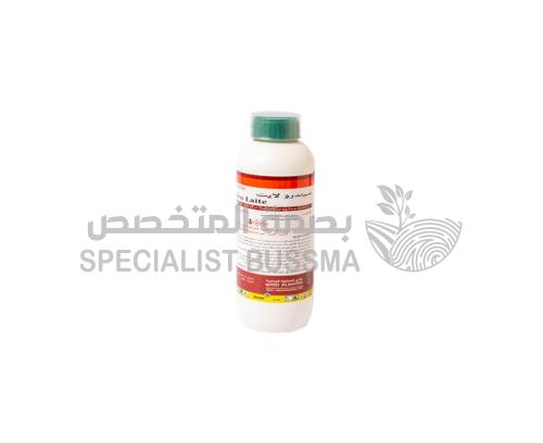 سيندرولايت