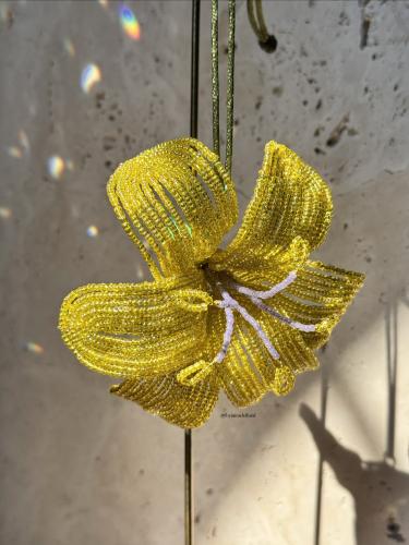 Yellow Lily