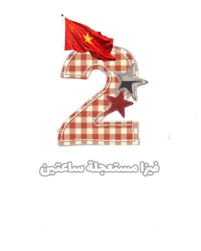 فيزة فيتنام مستعجله ساعتين