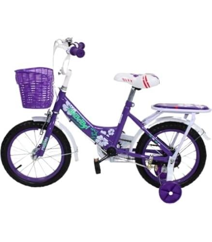 دراجة هوائيه بناتي مقلس 18