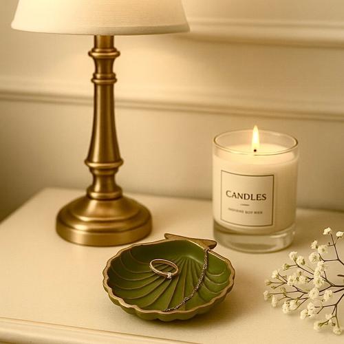 منظم اكسسوارات