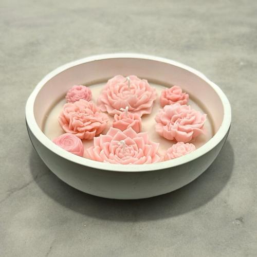 مجموعة The Garden