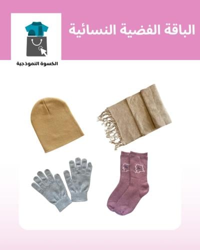الحقيبة الشتوية 4 قطع - الباقة الفضية النسائية