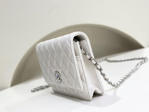 Chanel woc 19.2x12.3x3.5cm