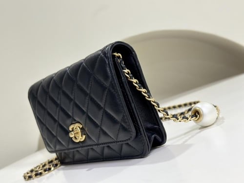 Chanel woc 19cm
