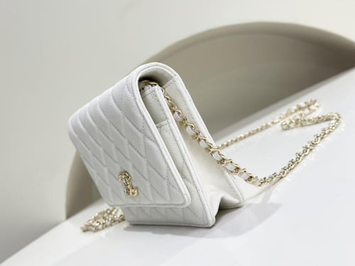 Chanel 24s woc 19x4x12cm