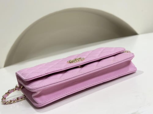 Chanel 24s woc 19x4x12cm