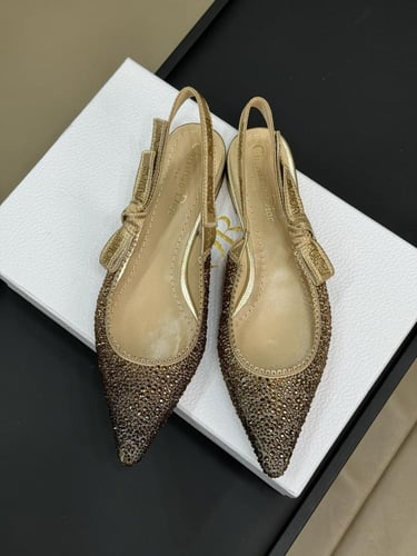 Dior (Three heights) Size：35-41