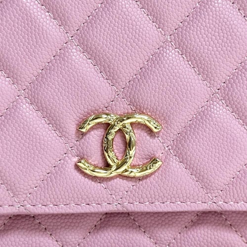 Chanel 24s woc 19x4x12cm
