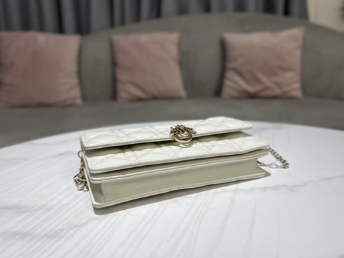 Dior 21 x 11.5 x 4.5cm