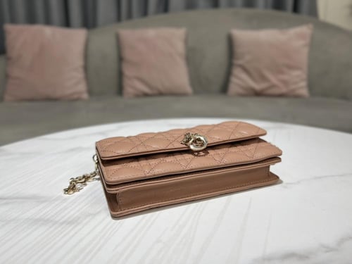 Dior 21 x 11.5 x 4.5cm