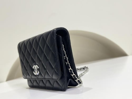 Chanel woc 19.2x12.3x3.5cm