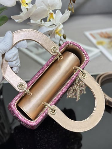 Dior Lady 20 x 16.5 x 8cm