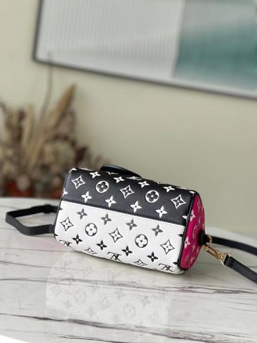 شنطة لويس فيتون Speedy مقاس 20 سم