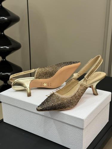 Dior (Three heights) Size：35-41