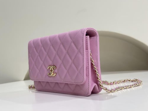 Chanel 24s woc 19x4x12cm