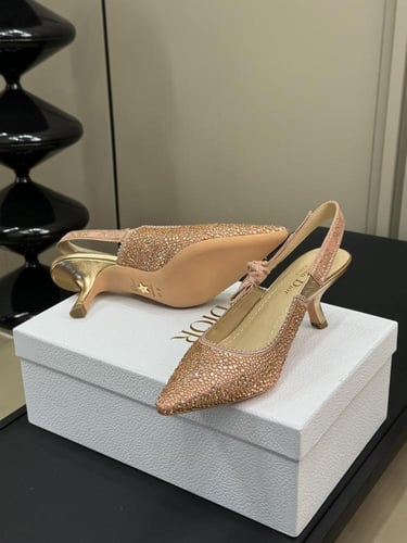 Dior (Three heights) Size：35-41