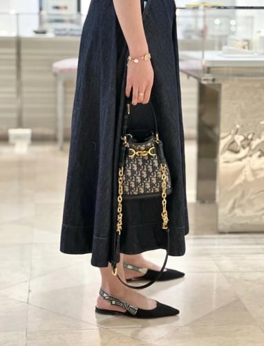 شنطة ديور 17cm C'est