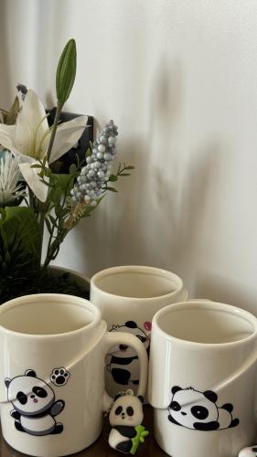 أكواب الدببه الثلاثه