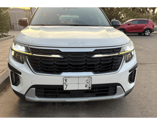 حامي زاوية صدام السيارة