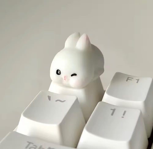 كي كابز أرنب