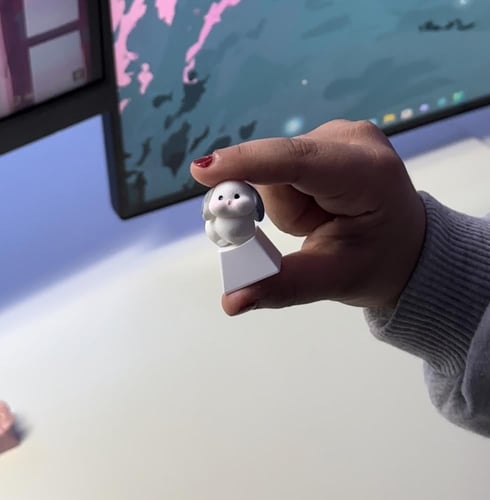 كي كابز أرنب