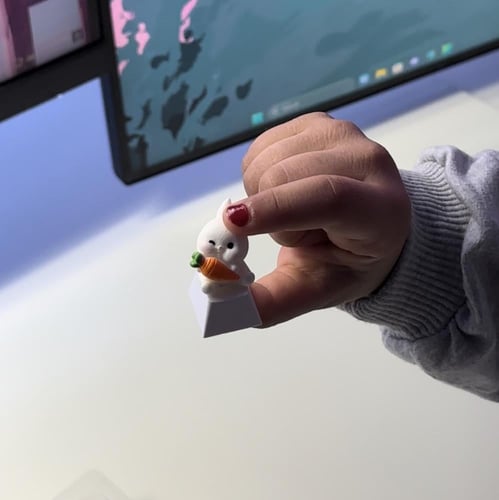 كي كابز أرنب