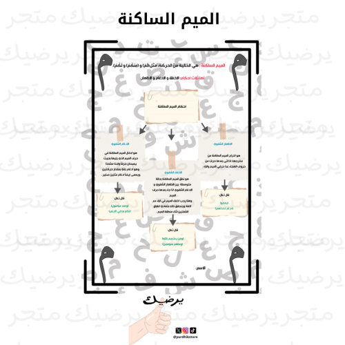 مطوية الميم الساكنة ف2