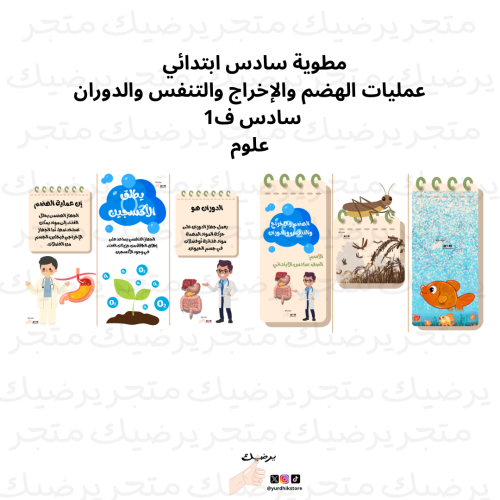 الهضم والإخراج والتنفس والدوران علوم سادس ف 1