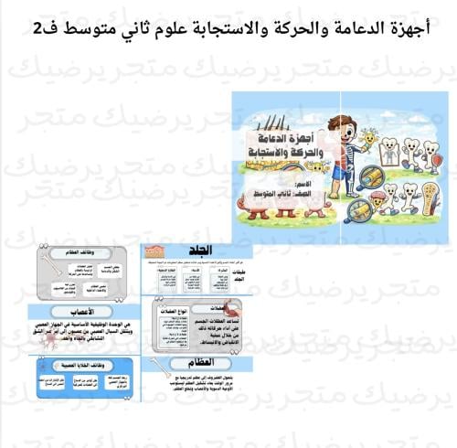 أجهزة الدعامة والحركة والاستجابة علوم ثاني متوسط ف...