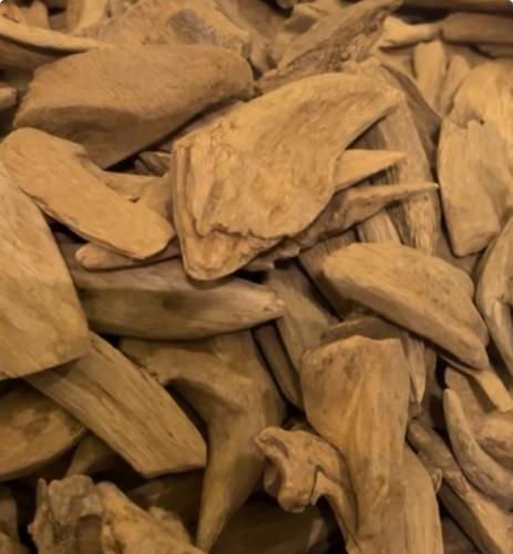 عود مروكي اصقون سوبر مرتفع