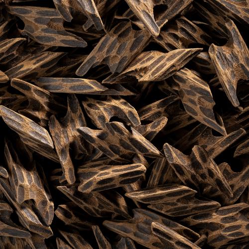 جوهرة الفيتنام (تايقر أصلي)