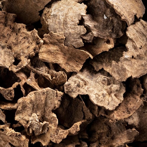 عود طبيعي فتنامي جار دبل سوبر فاخر