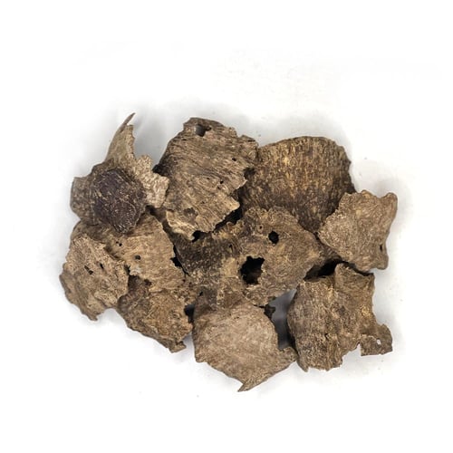 عود طبيعي فتنامي جار دبل سوبر فاخر