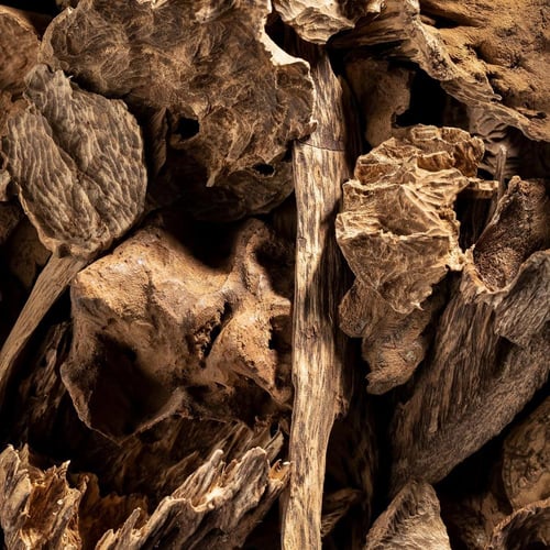 عود طبيعي سيلاني صفائح دبل سوبر اوقيتين + اوقيه مج...