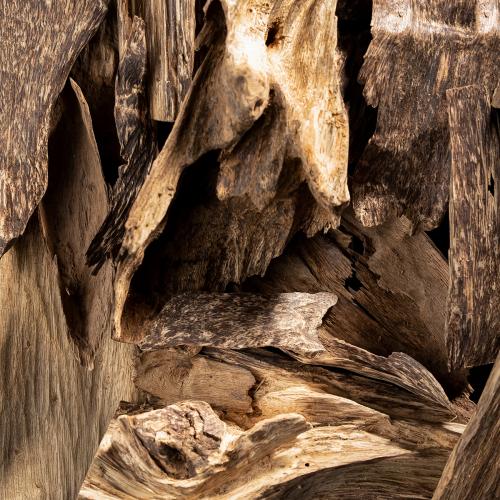 كلمنتان طبيعي سومطري ملكي