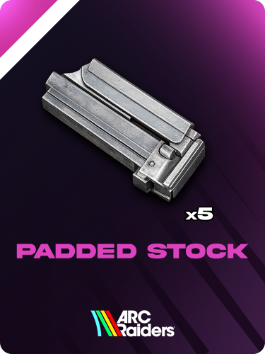 Padded Stock | عدد 5 حبات