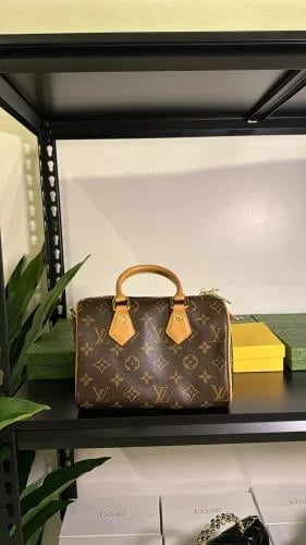 Louis Vuitton large size
