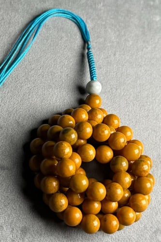 عقد عرق اسود