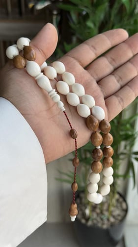 مسباح عظم مع كوك طبيعي