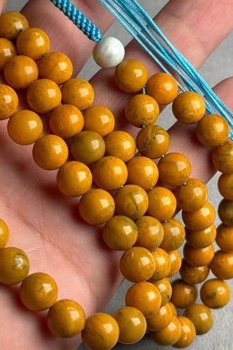 عقد عرق اسود