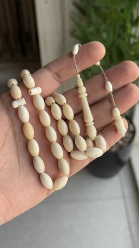 مسباح عظم نعامة طبيعي