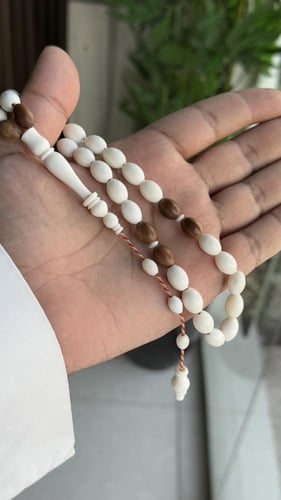 مسباح كوك مع عظم طبيعي