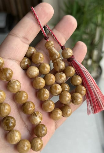 مسباح خرتيتي فاخر صب جديد