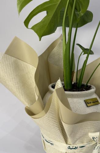 Reinforced packaging