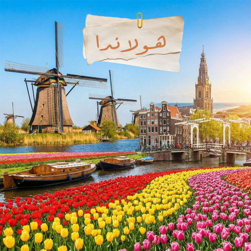 هولندا- الباقة المميزة