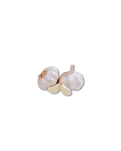 Organic garlic